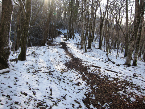 20191129hike (522)